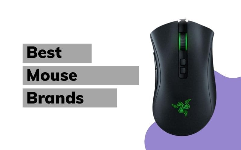 Best Mouse Company in India